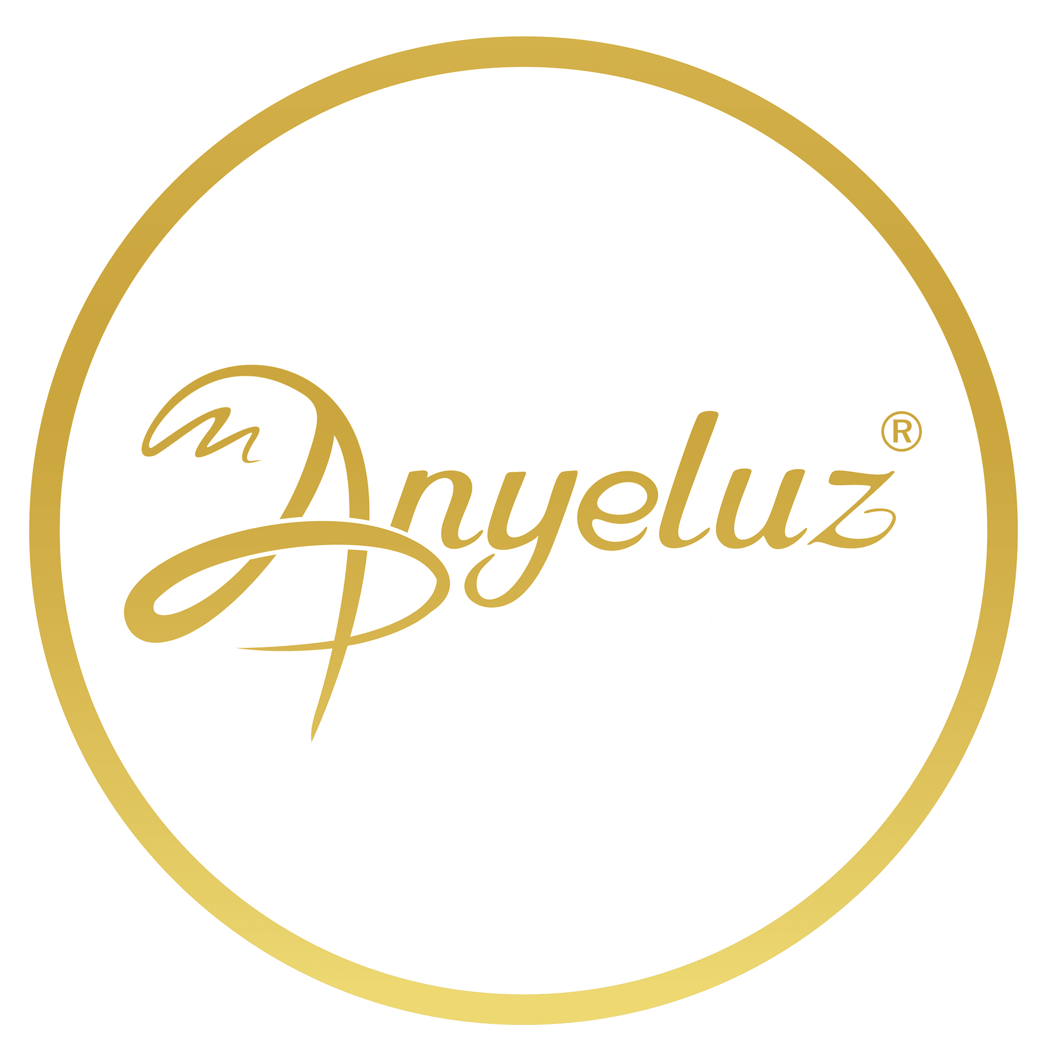 anyeluz logo