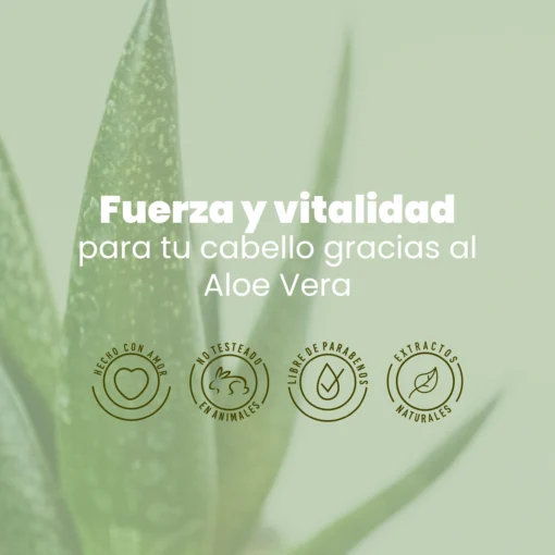 Shampoo Aloe Vera Anyeluz - Imagen 4