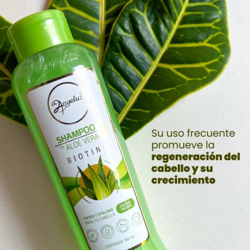 Shampoo Aloe Vera Anyeluz - Imagen 5