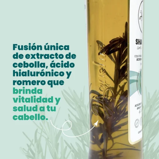 Shampoo con Romero Anyeluz - Imagen 4